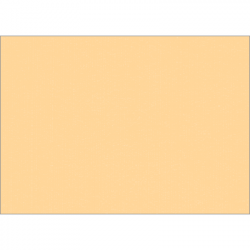 Set de table uni 
34 x 48
(non tissé 72 gr aspect peau de pêche) couleur:Pêche