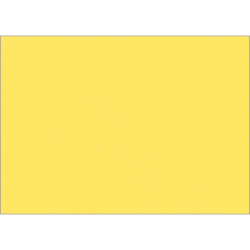 Set de table uni 
34 x 48
(non tissé 72 gr aspect peau de pêche) couleur:Jaune d'or