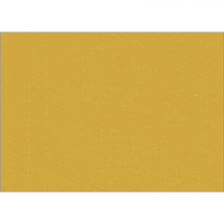 Set de table uni 
34 x 48
(non tissé 72 gr aspect peau de pêche) couleur:Or