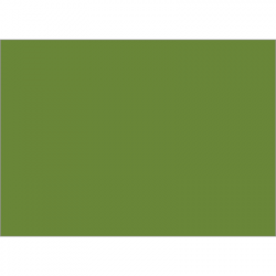 Set de table uni 
34 x 48 
(antidérapant) couleur:Avocat