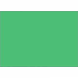 Set de table uni 
34 x 48 
(antidérapant) couleur:Chlorophylle