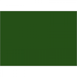 Set de table uni 
34 x 48 
(antidérapant) couleur:Sapin