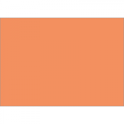 Set de table uni 
34 x 48 
(antidérapant) couleur:Saumon