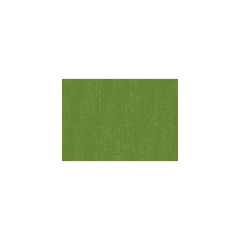 Set de table uni 
30 x 48 
(non tissé 72 gr aspect peau de pêche) couleur:Avocat