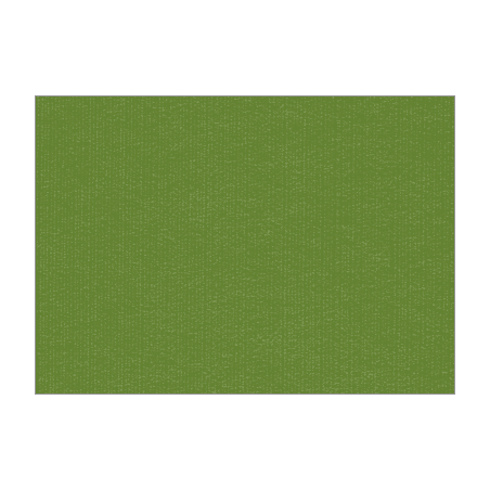 Set de table uni 
30 x 48 
(non tissé 72 gr aspect peau de pêche) couleur:Avocat