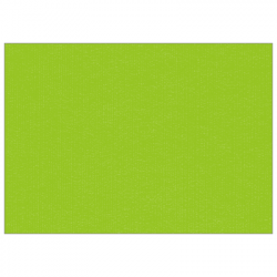 Set de table uni 
30 x 48 
(non tissé 72 gr aspect peau de pêche) couleur:Kiwi