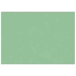 Set de table uni 
30 x 48 
(non tissé 72 gr aspect peau de pêche) couleur:Pistache