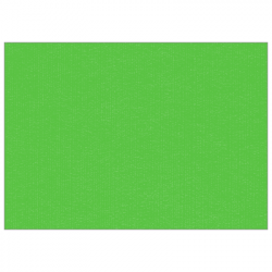 Set de table uni 
30 x 48 
(non tissé 72 gr aspect peau de pêche) couleur:Pomme