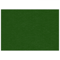 Set de table uni 
30 x 48 
(non tissé 72 gr aspect peau de pêche) couleur:Sapin