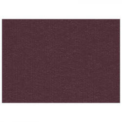 Set de table uni 
30 x 48 
(non tissé 72 gr aspect peau de pêche) couleur:Aubergine