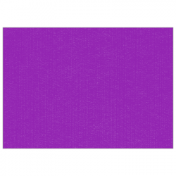 Set de table uni 
30 x 48 
(non tissé 72 gr aspect peau de pêche) couleur:Violet