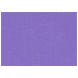 Set de table uni 
30 x 48 
(non tissé 72 gr aspect peau de pêche) couleur:Parme