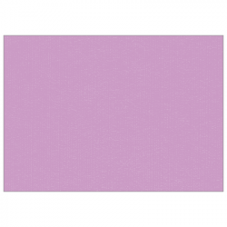 Set de table uni 
30 x 48 
(non tissé 72 gr aspect peau de pêche) couleur:Lilas