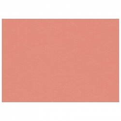 Set de table uni 
30 x 48 
(non tissé 72 gr aspect peau de pêche) couleur:Tarama