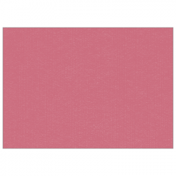 Set de table uni 
30 x 48 
(non tissé 72 gr aspect peau de pêche) couleur:Vieux rose