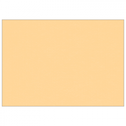 Set de table uni 
30 x 48 
(non tissé 72 gr aspect peau de pêche) couleur:Pêche