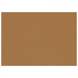 Set de table uni 
30 x 48 
(non tissé 72 gr aspect peau de pêche) couleur:Havane