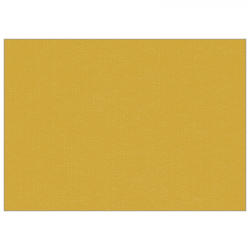 Set de table uni 
30 x 48 
(non tissé 72 gr aspect peau de pêche) couleur:Or