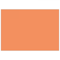 Set de table uni 
29.7 x 42
(papier 90 gr) couleur:Saumon