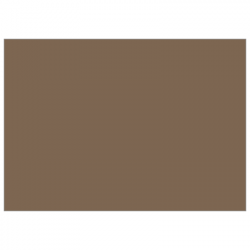 Set de table uni 
29.7 x 42
(papier 90 gr) couleur:Daim