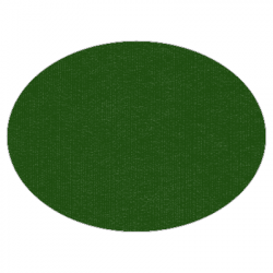 Set de table uni 
ovale 28 x 39.5
(non tissé 72 gr aspect peau de pêche) couleur:Sapin