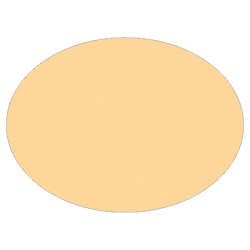 Set de table uni 
ovale 28 x 39.5
(non tissé 72 gr aspect peau de pêche) couleur:Pêche