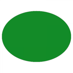 Set de table uni
ovale 28 x 39.5 
(antidérapant) couleur:Vert