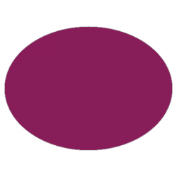 Set de table uni
ovale 28 x 39.5 
(antidérapant) couleur:Prune