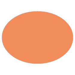 Set de table uni
ovale 28 x 39.5 
(antidérapant) couleur:Saumon