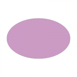 Set de table uni 
ovale 21 x 33 
(antidérapant) couleur:Lilas