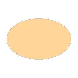 Set de table uni 
ovale 21 x 33 
(antidérapant) couleur:Pêche