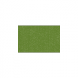 Set de plateau uni 
16.5 x 25.4 
(non tissé 72 gr aspect peau de pêche) couleur:Avocat