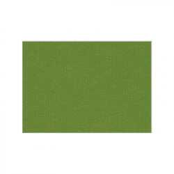 Set de plateau uni 
24.8 x 34.9 
(non tissé 72 gr aspect peau de pêche) couleur:Avocat