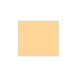 Set de plateau uni 
21.6 x 24.8
(antidérapant) couleur:Pêche