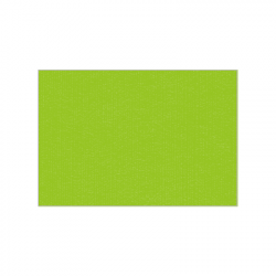 Set de plateau uni 
23.3 x 34 
(non tissé 72 gr aspect peau de pêche) couleur:Kiwi