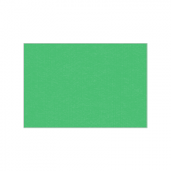 Set de plateau uni 
23.3 x 34 
(non tissé 72 gr aspect peau de pêche) couleur:Chlorophylle