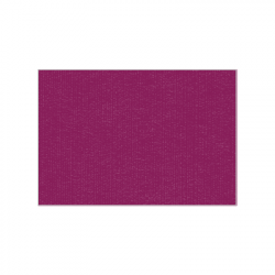 Set de plateau uni 
23.3 x 34 
(non tissé 72 gr aspect peau de pêche) couleur:Prune