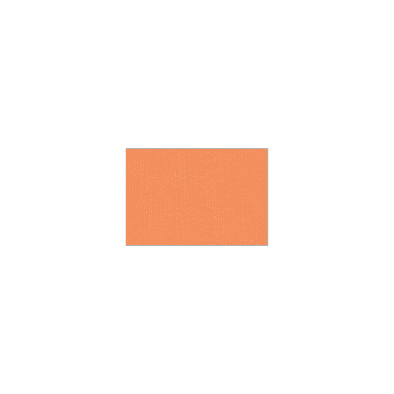 Set de plateau uni 
23.3 x 34 
(non tissé 72 gr aspect peau de pêche) couleur:Saumon