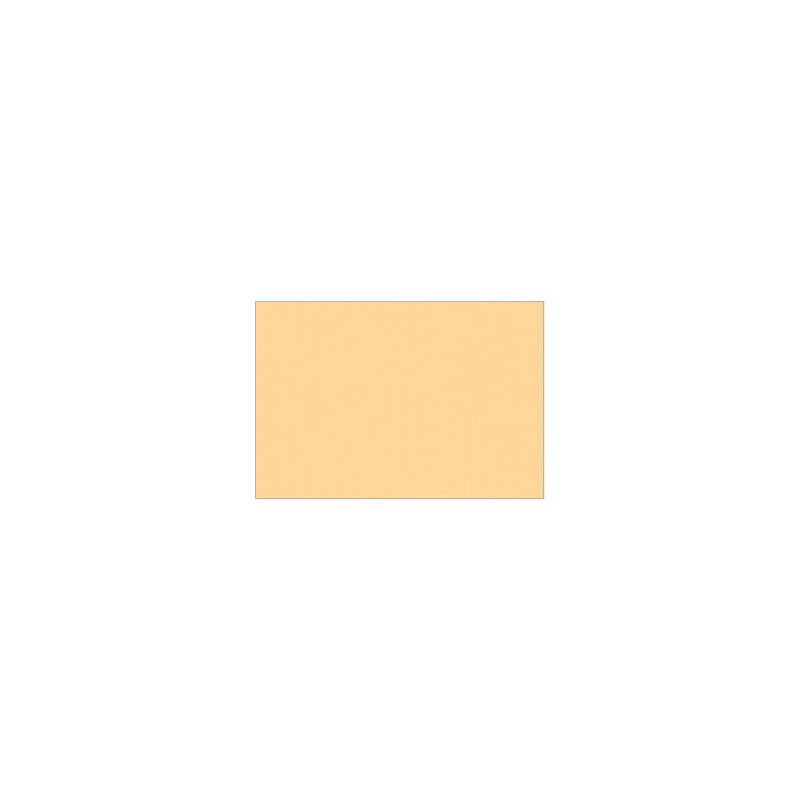 Set de plateau uni 
23.3 x 34 
(non tissé 72 gr aspect peau de pêche) couleur:Pêche