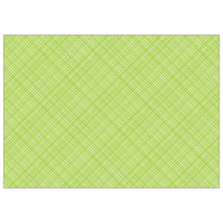 Set de table textilisé 
30 x 48 
(non tissé 72 gr aspect peau de pêche) couleur:Kiwi