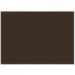 Set de table marron textilisé
34 x 50
(non tissé 72 gr aspect peau de pêche) 