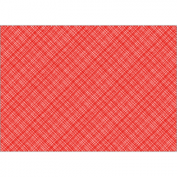 Set de table textilisé 
34 x 48 
(papier 80 gr) couleur:Rouge