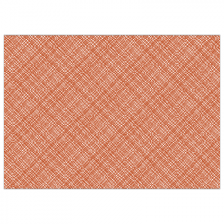 Set de table textilisé 
30 x 48 
(antidérapant) couleur:Terracotta