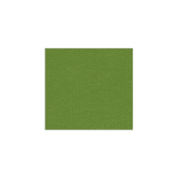 Set de plateau uni 
21.6 x 23.3
(non tissé 72 gr aspect peau de pêche) couleur:Avocat