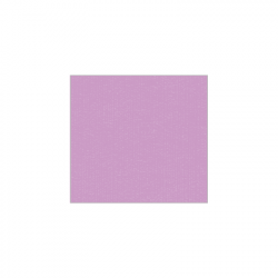 Set de plateau uni 
21.6 x 23.3
(non tissé 72 gr aspect peau de pêche) couleur:Lilas