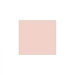 Set de plateau uni 
21.6 x 23.3
(non tissé 72 gr aspect peau de pêche) couleur:Rose pâle