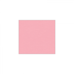 Set de plateau uni 
21.6 x 23.3
(non tissé 72 gr aspect peau de pêche) couleur:Rose clair