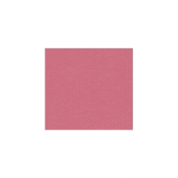 Set de plateau uni 
21.6 x 23.3
(non tissé 72 gr aspect peau de pêche) couleur:Vieux rose