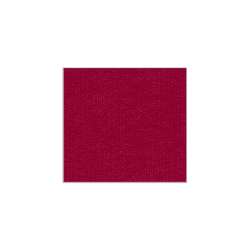 Set de plateau uni 
21.6 x 23.3
(non tissé 72 gr aspect peau de pêche) couleur:Bordeaux