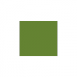 Set de plateau uni 
21.6 x 23.3 
(antidérapant) couleur:Avocat